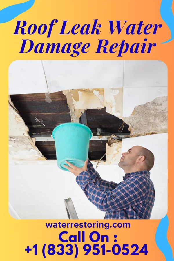 Roof Leak Water Damage Repair in Wapato, WA